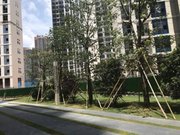 沙井小区图片