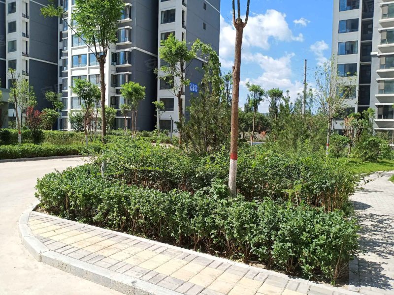 玉门花园(b区)