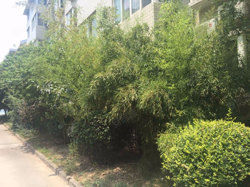 万景花园,西二路23号