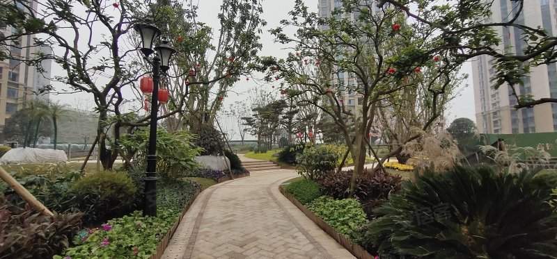 当代城moma,黛山大道,近聚金大道-重庆当代城moma二手房,租房,房价