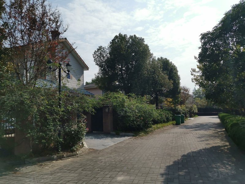 乡村花园(别墅),始信路161号-合肥乡村花园(别墅)二手房,租房,房价