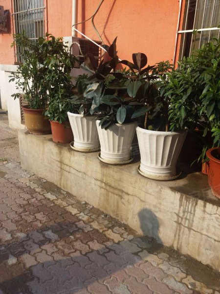 云景大厦,琼州道55号-天津云景大厦二手房,租房,房价-天津安居客