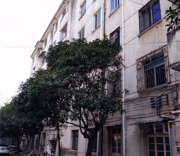 金龙小区(人民东路)