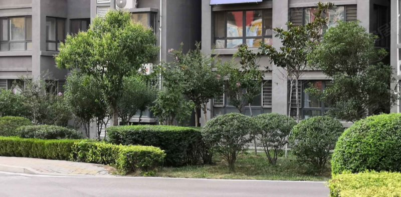 鑫琦福邸(南区),接驾山路-邹城鑫琦福邸(南区)二手房,租房,房价-邹城