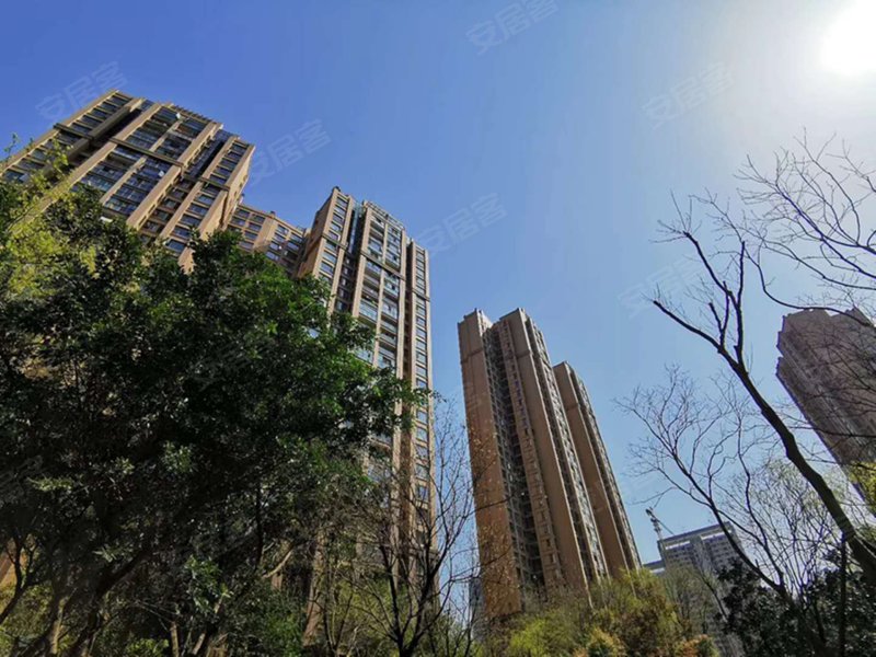 百悦城,金桉路1号,金梨路33号-成都百悦城二手房