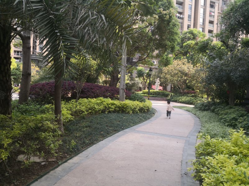 融信大卫城a区(别墅)