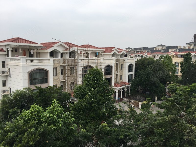 高明碧桂园(一期别墅),碧桂路-佛山高明碧桂园(一期别墅)二手房,租房
