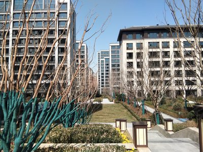 历城绿城玉兰花园四期玉园小区图片相册,济南历城绿城玉兰花园四期