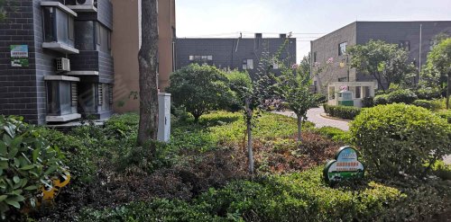 鑫源国际城,东滩路1789号 - 邹城鑫源国际城二手房,租房,房价-邹城