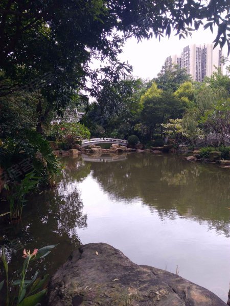 创鸿水韵尚都,海七路6号-佛山创鸿水韵尚都二手房,租房,房价-佛山安居