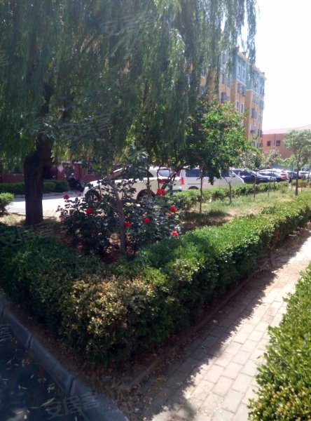 中黄埠小区,夏塔路-青岛中黄埠小区二手房,租房,房价-青岛安居客