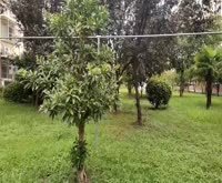 瑞和城叁街区(鲁宁路43弄) 