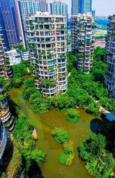 天鹅湖北苑,世纪城路996号-成都天鹅湖北苑二手房,租房,房价-成都安居