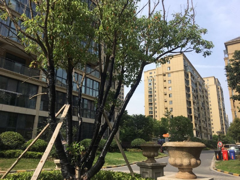 梧桐公馆(一期),枚皋中路,近山阳湾路-淮安梧桐公馆(一期)二手房,租房