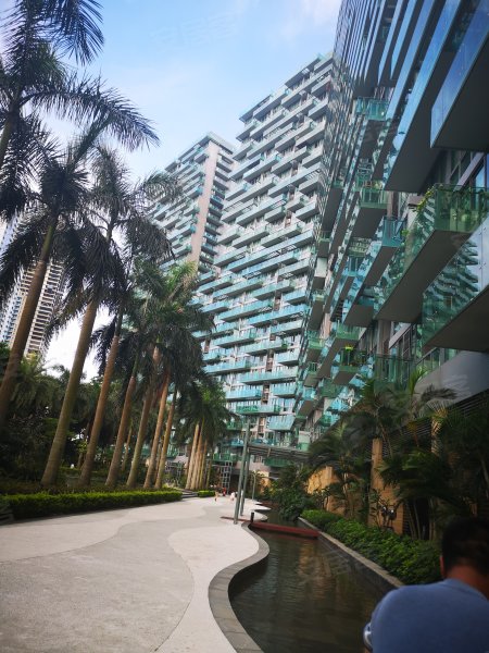 红树西岸,深湾一路3号-深圳红树西岸二手房,租房,房价-深圳安居客