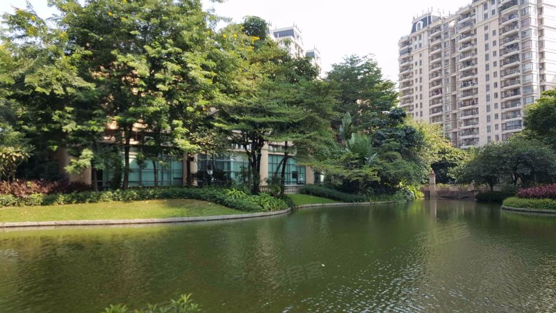 合生君景湾,里水大道南113号-佛山合生君景湾二手房,租房,房价-佛山