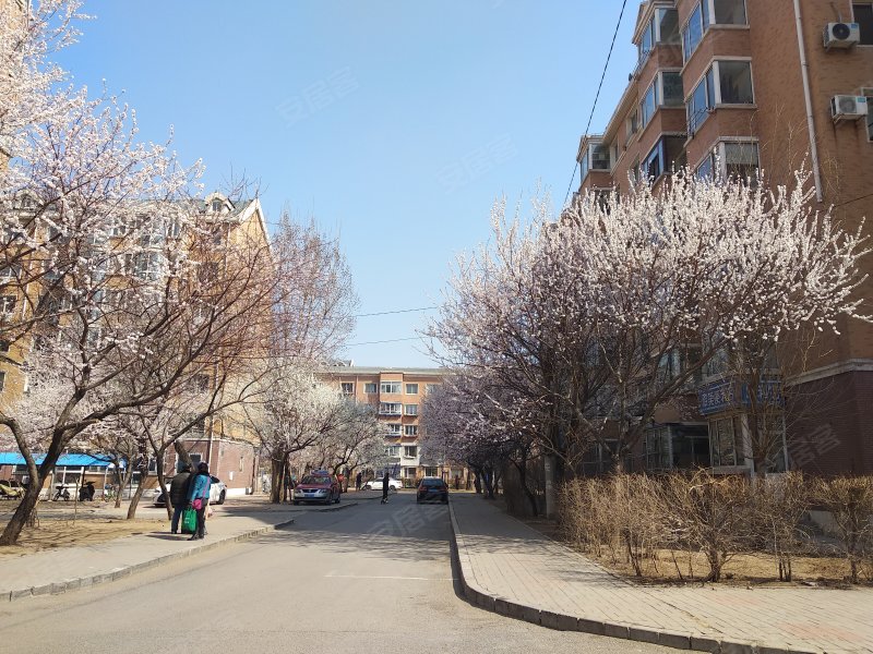 工人新村(劳动公园),南十一西路15号-沈阳工人新村(劳动公园)二手房