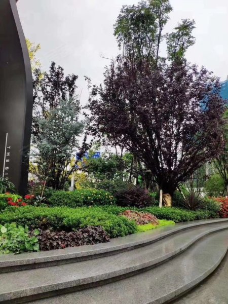 青秀2046(商住楼),富源中路246号-贵阳青秀2046(商住楼)二手房,租房