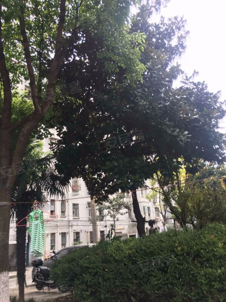 淞南五村(194-258,280-332 