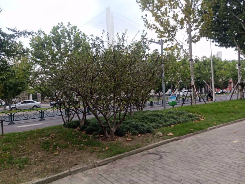 塘南路5-9号(单)小区 