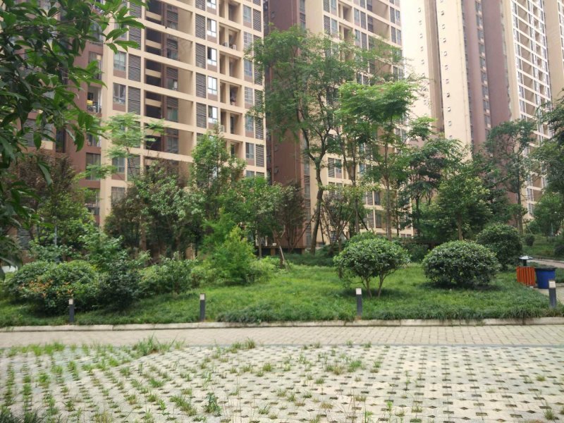 银木佳苑,栀子街855号-成都银木佳苑二手房,租房,房价-成都安居客