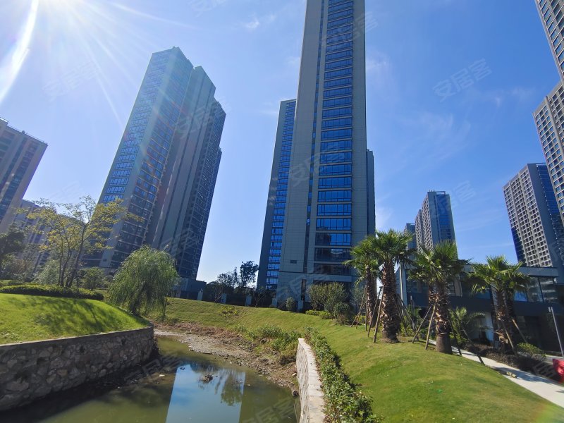 金地滨江万科悦虹湾