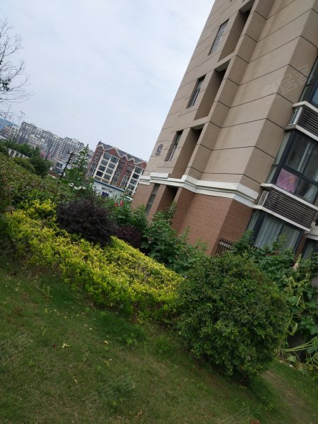 法姬娜欧洲城三期(商水)