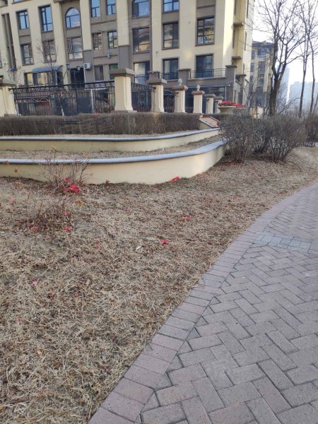 水岸华府,沙河街41号-鞍山水岸华府二手房,租房,房价-鞍山安居客