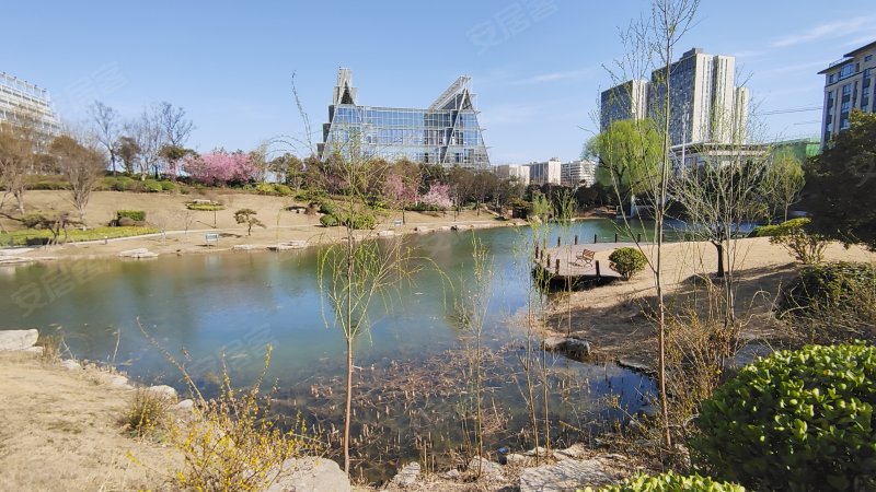 碧源月湖奕园,新城路,近开元路-郑州碧源月湖奕园二手房,租房,房价