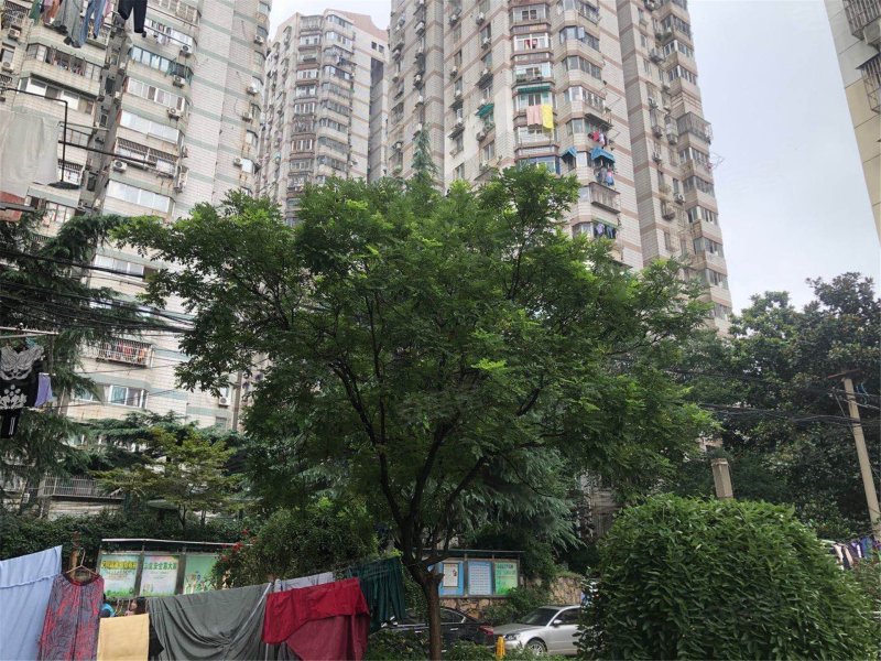 怡景花园,牌楼巷26号-南京怡景花园二手房,租房,房价-南京安居客