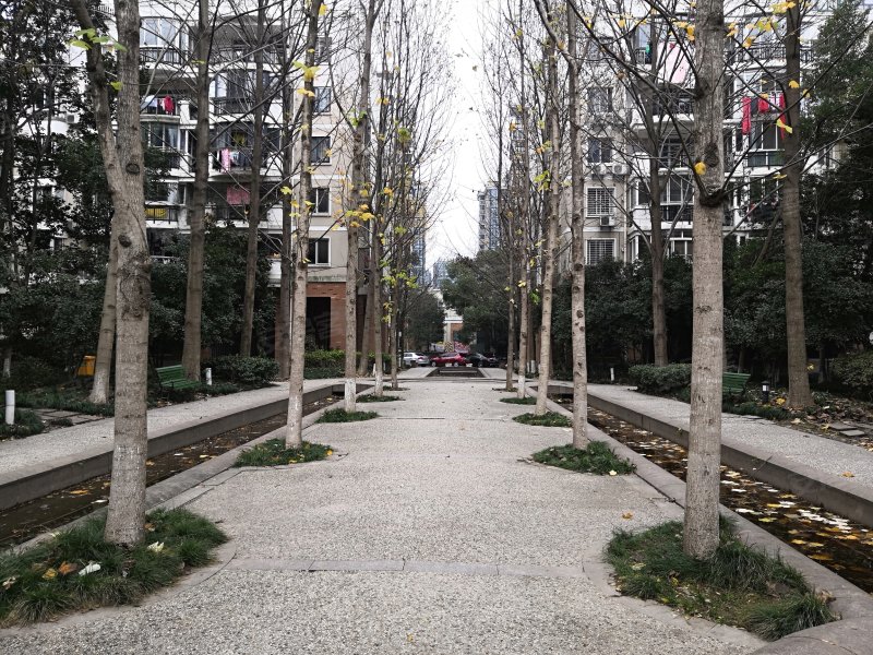 星洲花园(南区公寓住宅)