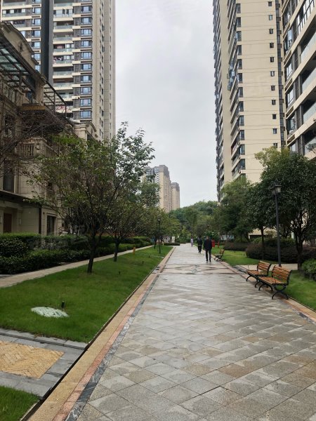 金科天元道(一期一组团)