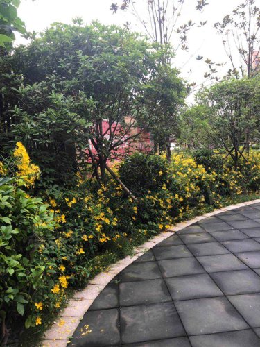 中央街区(一期),子龙路 - 当阳中央街区(一期)二手房,租房,房价-当阳