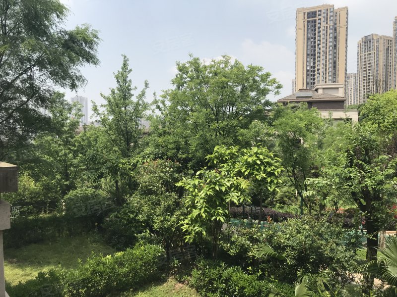 约克郡(南区别墅)