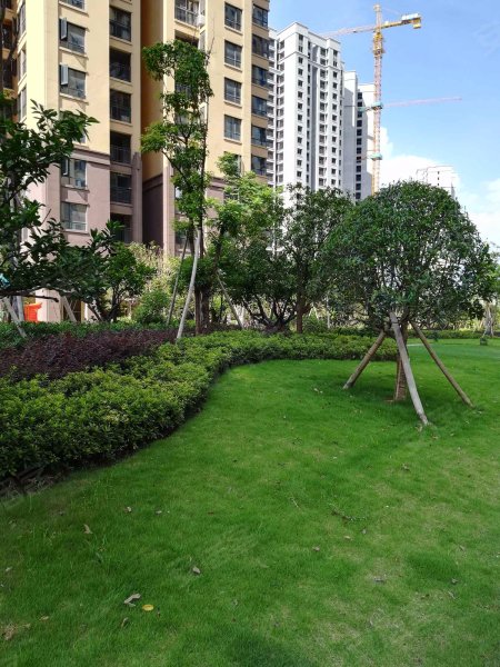 湘熙水郡,潇湘南路一段508号-长沙湘熙水郡二手房,租房,房价-长沙安居