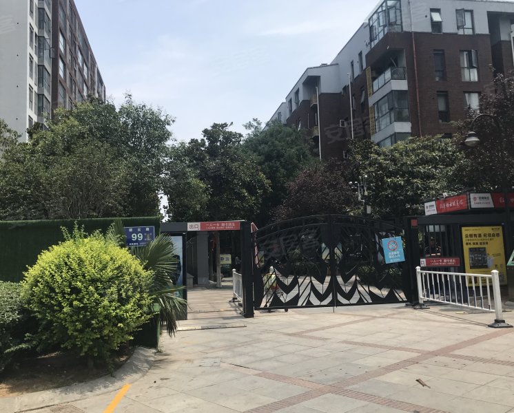 橄榄城柏林印象