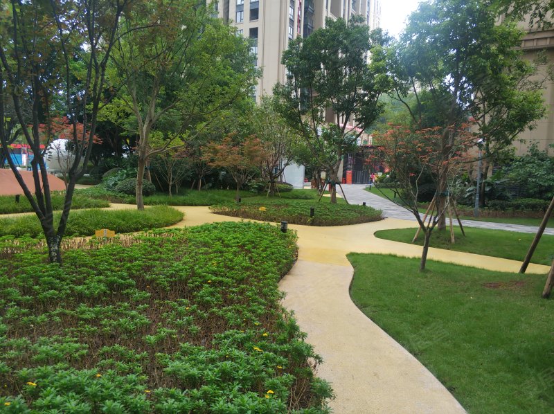 东原星樾,星光大道201号-重庆东原星樾二手房,租房,房价-重庆安居客