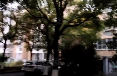 玉兰路81弄小区