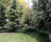 美罗家园宝欣苑一村