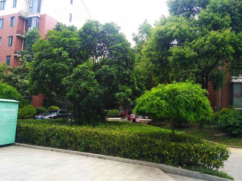 南湖春城,轩辕路89号-合肥南湖春城二手房,租房,房价-合肥安居客