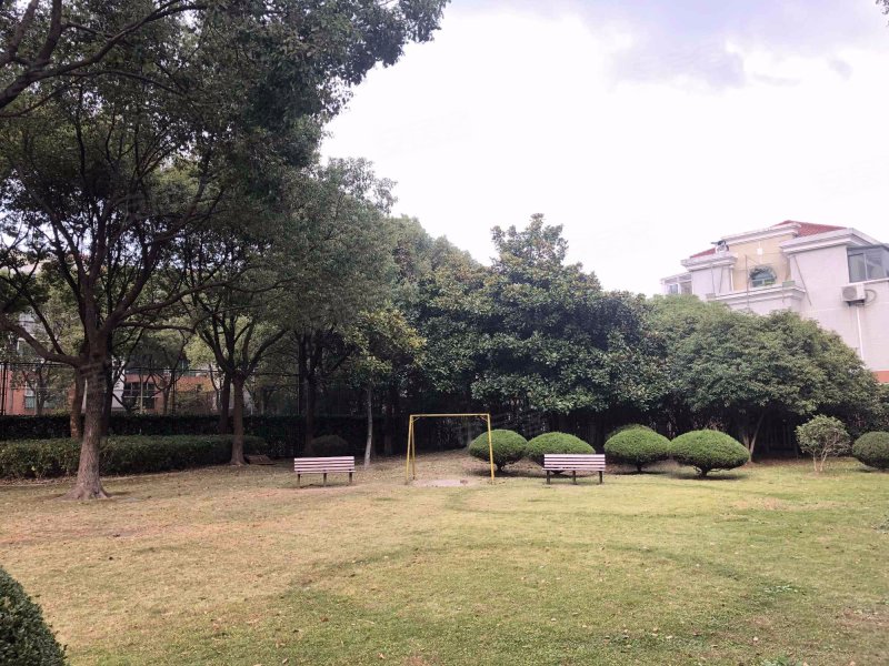 新申花城水仙苑(公寓住宅) 