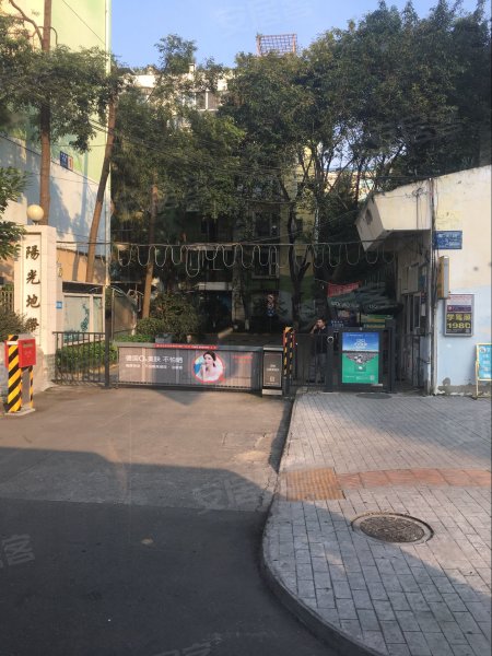 阳光地带(金牛)