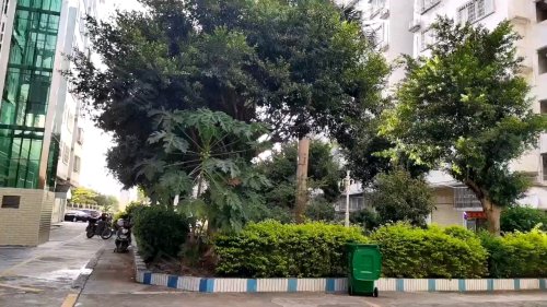 金城花园,206国道,近162乡道 - 梅州金城花园二手房,租房,房价-梅州