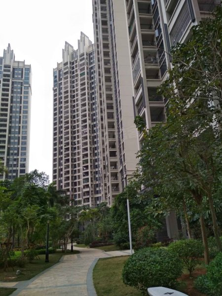 顺江帝景城,体育南路35号-湛江顺江帝景城二手房,租房,房价-湛江安居