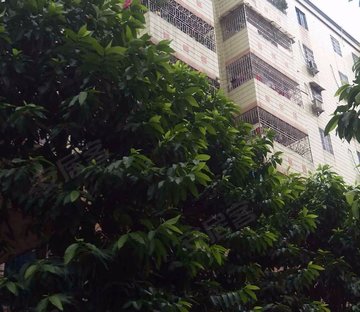 横沙复建街住宅区