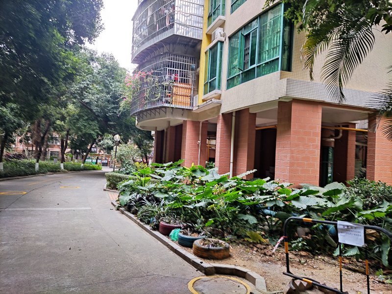 南厦丰泽园(南区)