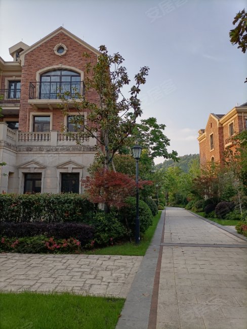 中央山公馆别墅