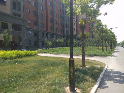 文苑花园,永继路36号 - 郑州文苑花园二手房,租房,房价-郑州安居客