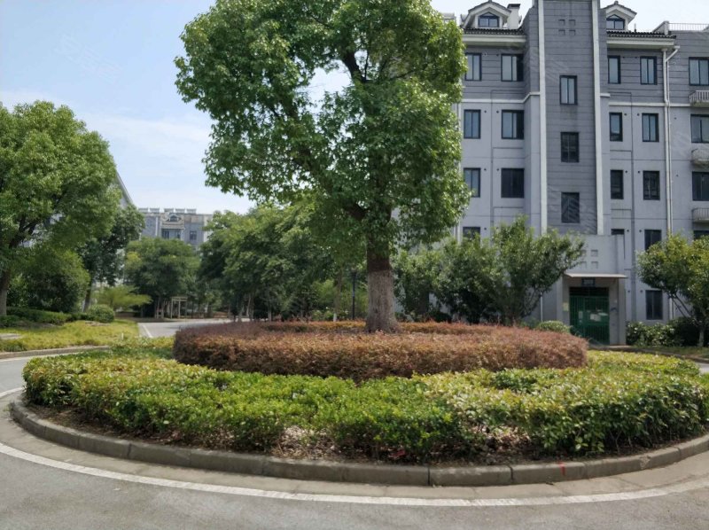 军嶂新村(b区),山水东路,近盘龙北路-无锡军嶂新村(b区)二手房,租房