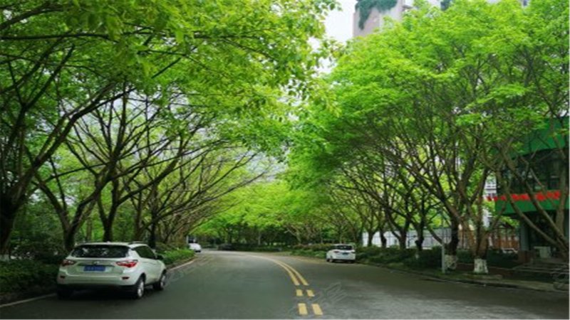 虎溪花园(别墅)